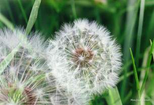 Bilder aus der Natur